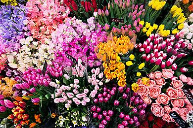 高能电玩节：《怒之铁拳4》DLC预告片 国区32元